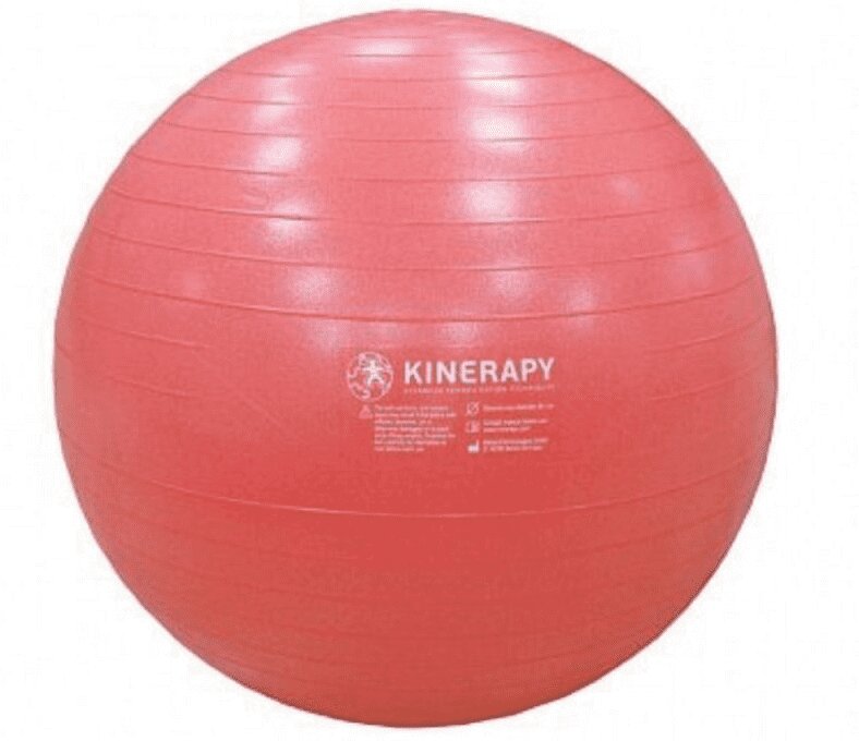 

Кинерэпи мяч гимнастический RB265 65см Коралл