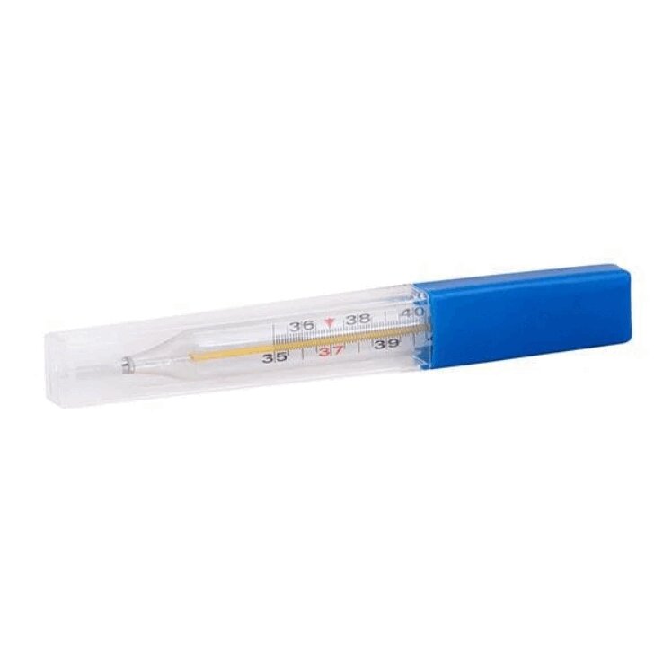 Термометр медицинский ртутный в футляре рама со стеклом пластиковая 10 х 15 см