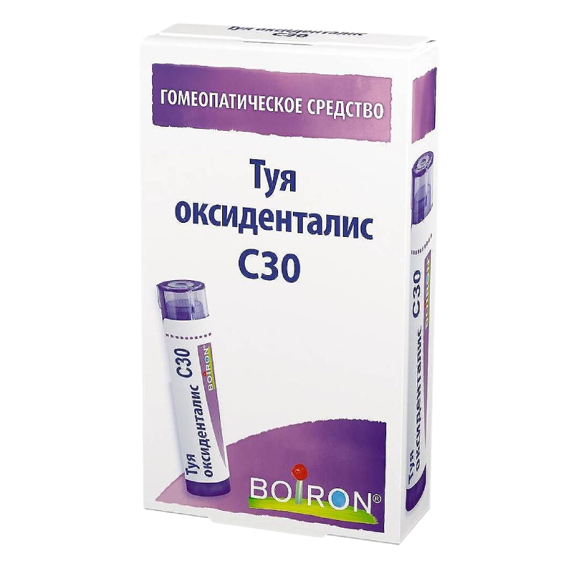 Изображение товара Гомеопатические гранулы Туя оксиденталис C30 4 г для внутреннего применения