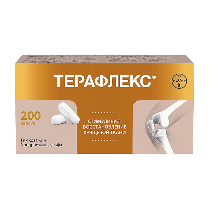 

Терафлекс капсулы 200 шт