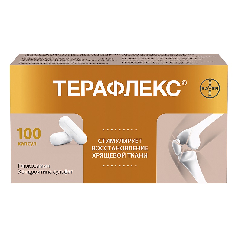 

Терафлекс капсулы 100 шт