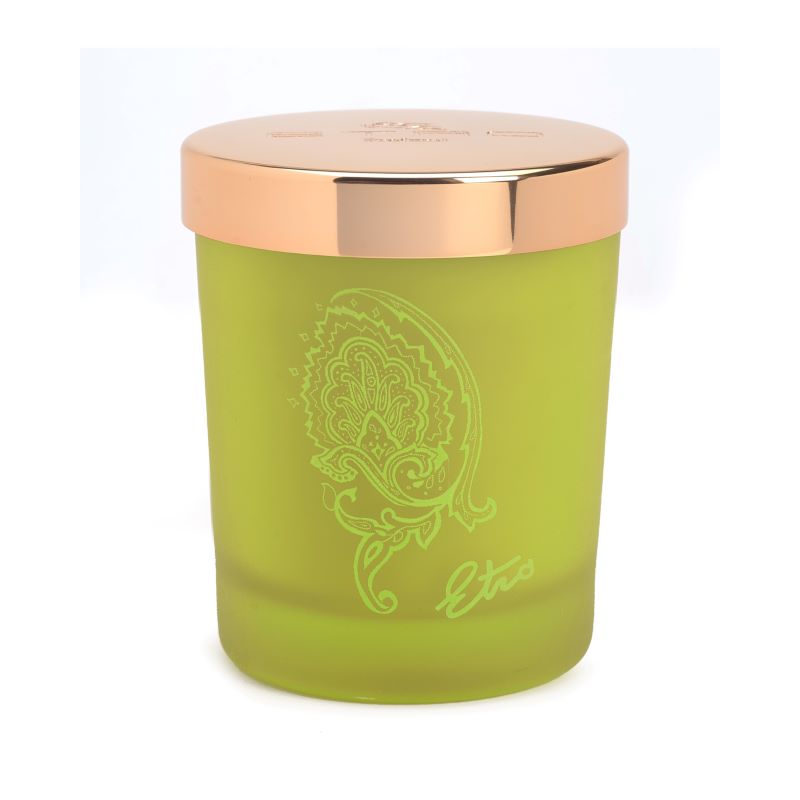 Этро Дафне Свеча парфюмированная 170 г свеча ароматизированная 8 5х7 см в стакане roura ваниль с фитилем из дерева 403721 170
