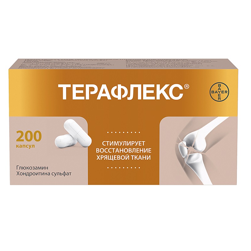 

Терафлекс капсулы 200 шт