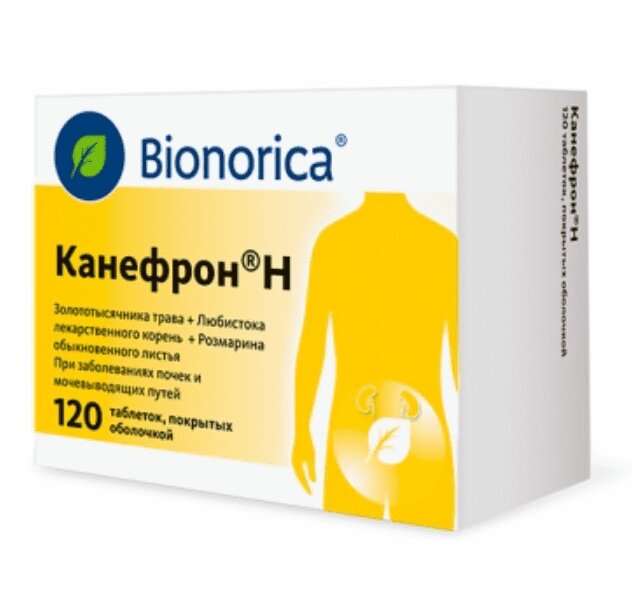 

Канефрон Н таблетки 120 шт